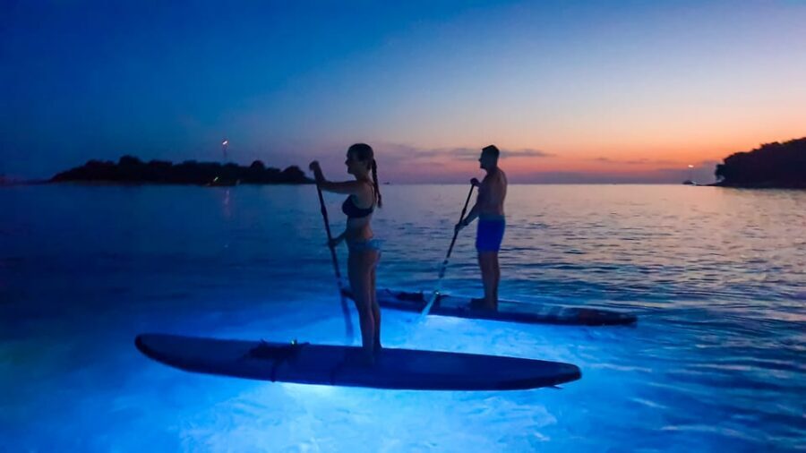 1.5-hour Clear Kayak Rental: Discover the Underwater World - Safety Briefing and Gear: What’s Included, What’s Not