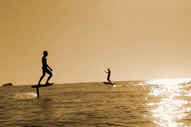 1-Hour Private E Foil Surfing Lessons in Istria - Key highlights worth planning for