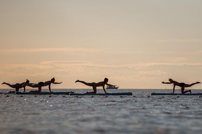 1-Hour Private E Foil Surfing Lessons in Istria - Price and value: is $192.23 per person fair for 1 hour?