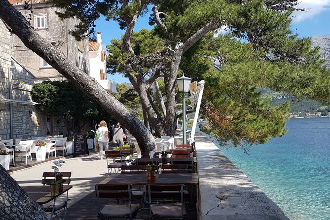 1 Hour Private Walking Tour in Korcula - The private feel: questions, pace, and flexibility
