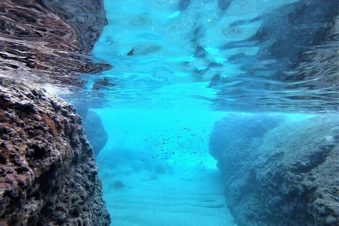 2 hours Elafiti Islands Private Tour by Barracuda 545 - Koločep Island stop: Blue and Green Cave swimming, snorkel, and jump spots