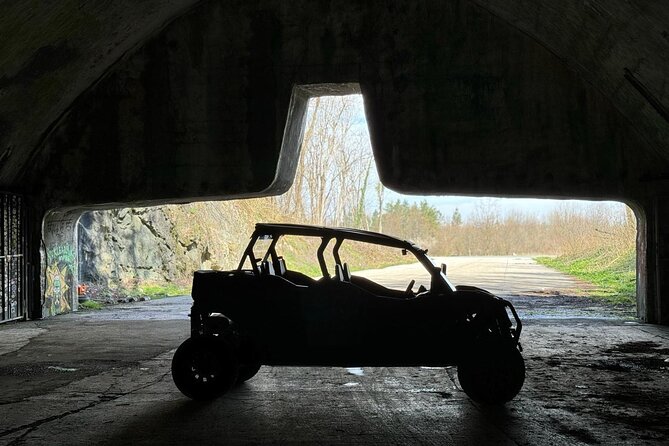 3,5 hours Guided Buggy Tour in Plitvice lakes - Entering Plitvice Lakes National Park: Viewpoints Plus Practical Access