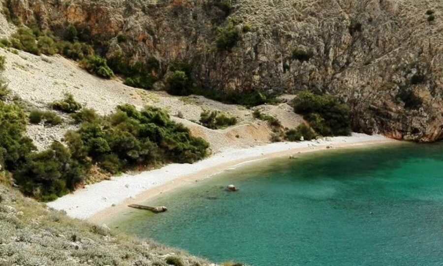 3,5h Wild Bays: Swim & Snorkel with Capt. Bobo (Public) - Key things to know before you go