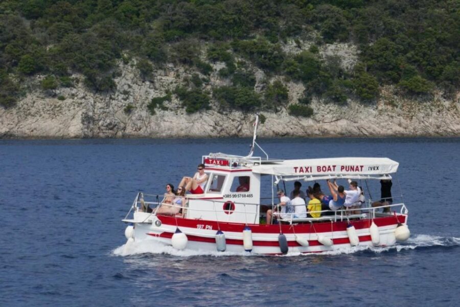 3,5h Wild Bays: Swim & Snorkel with Capt. Bobo (Public) - From Punat to Stara Baška: The Panoramic 40-Minute Set-Up