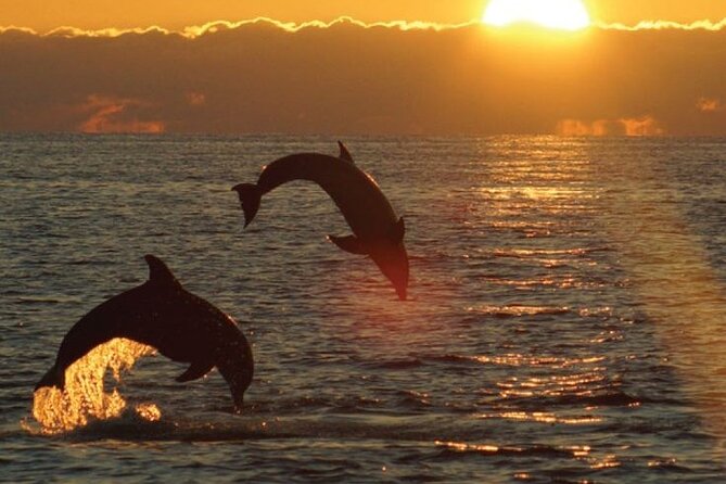 3hours all inclusive Sunset&Dolphin Tour from Medulin on Sandra - Where You Board in Medulin Harbor (and what to expect right away)