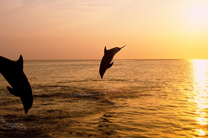 3hours all inclusive Sunset&Dolphin Tour from Medulin on Sandra - Kamenjak National Park from the water: the coastline you can actually see