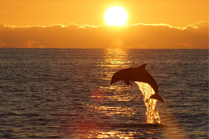 3hours all inclusive Sunset&Dolphin Tour from Medulin on Sandra - Weather changes and how to protect your mood