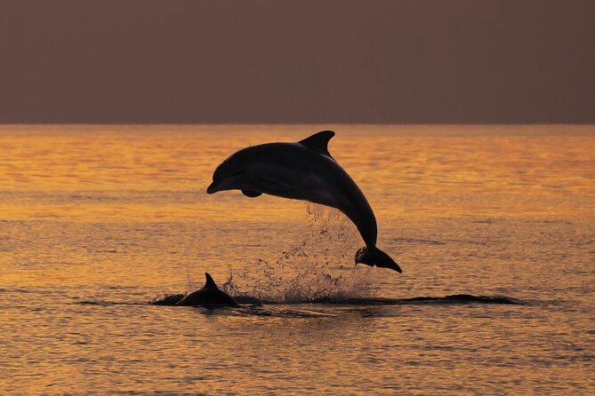 3hours all inclusive Sunset&Dolphin Tour from Medulin on Sandra - Porer Lighthouse and the sunset timing