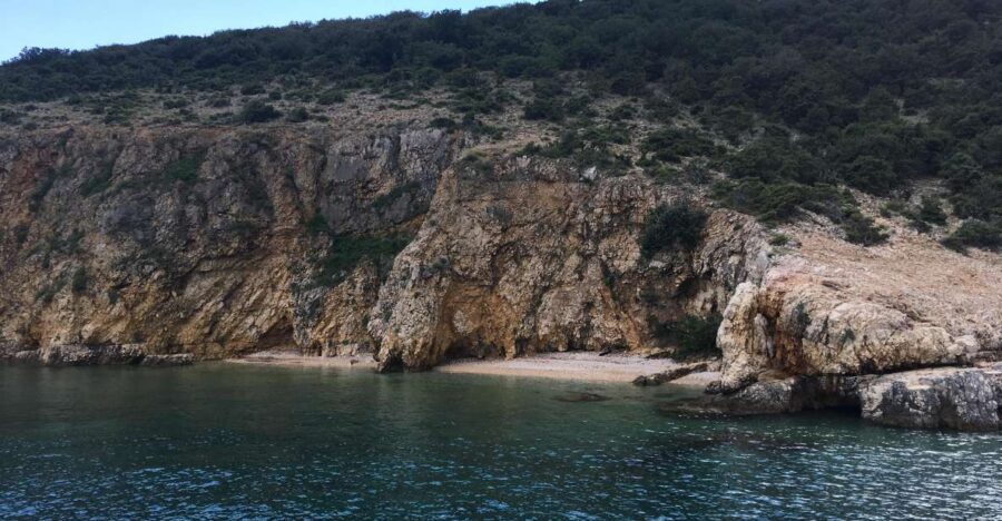 5h Plavnik Island: Swim & Snorkel with Capt. Bobo (Public) - Who should book this Plavnik swim and snorkel tour?