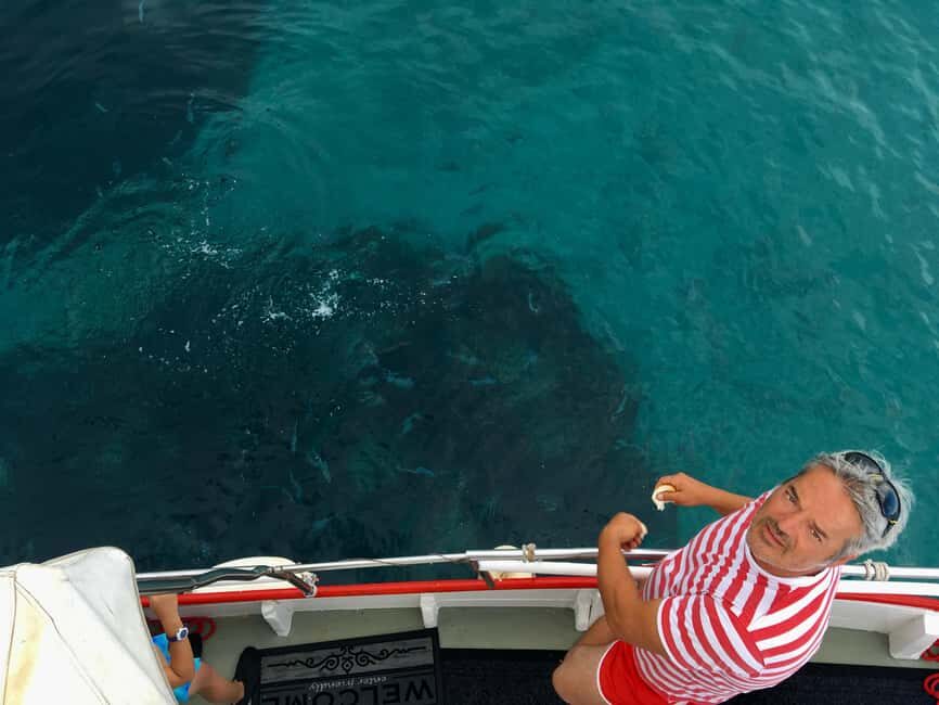 5h Plavnik Island: Swim & Snorkel with Capt. Bobo (Public) - Plavnik Island: the day trip that feels removed from the crowds