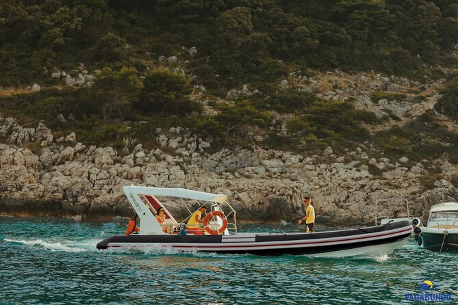 8 Hour Private Sea Safari Speedboat Dubrovnik - Blue Cave swimming time: the “how fast can we get in” moment