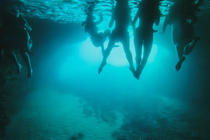 8 Hour Private Sea Safari Speedboat Dubrovnik - Lokrum Island and the botanical gardens: a calmer ending
