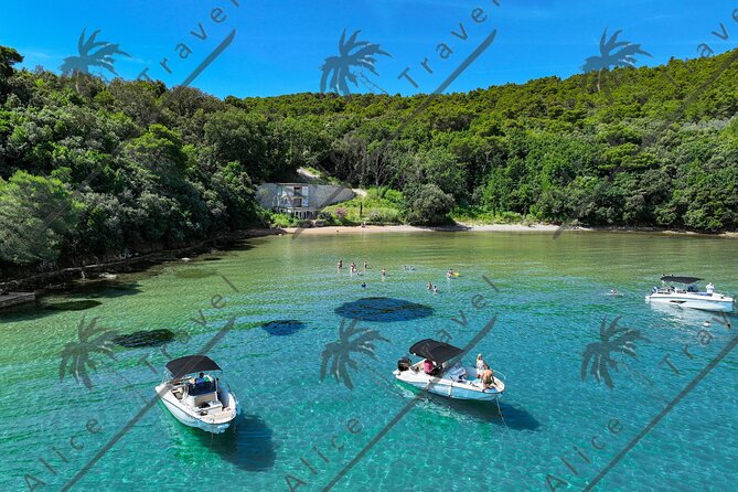 Adrenaline Adventure on Speedboat with 3 stops and Snorkeling - Key things that make this speedboat trip work