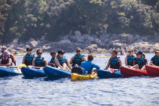 Afternoon Kayaking in Dubrovnik - Key moments worth knowing before you go