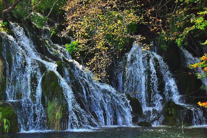 All inclusive luxury daytrip Plitvice Lakes from Split or Trogir - Ranch Deer Valley: Deer Feeding Plus Farm Food