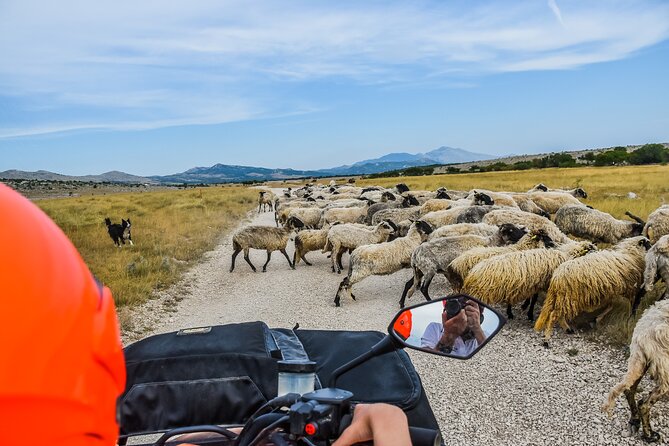 ATV Dinara Mountain tour with picnic - What You Actually Get for the Price (and Where Costs Can Sneak In)