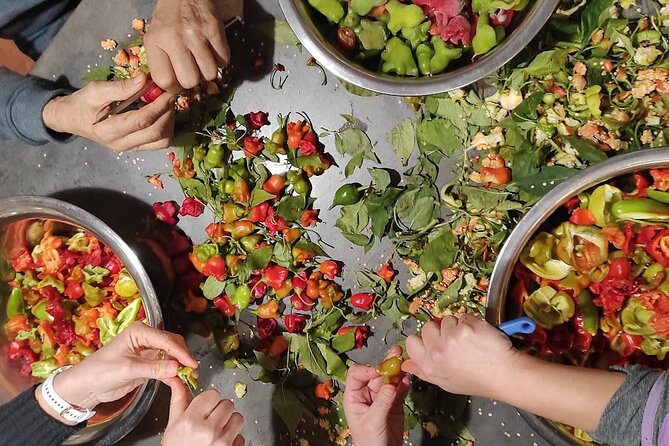 Authentic Garden to Table Cooking Class in Dubrovnik Countryside - Wine at the Table and the 500-Year Family Tree Stories
