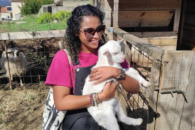 Authentic Garden to Table Cooking Class in Dubrovnik Countryside - Should You Book This Dubrovnik Countryside Cooking Class?