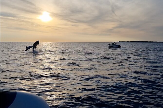 Beautiful Sunset and Dolphin Watching - Brijuni National Park: what the dolphin search is actually like