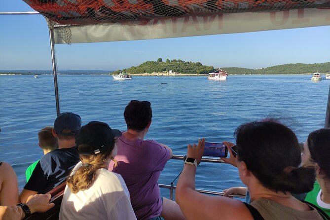 Beautiful Sunset and Dolphin Watching - The sunset over the Adriatic: the view you’ll remember