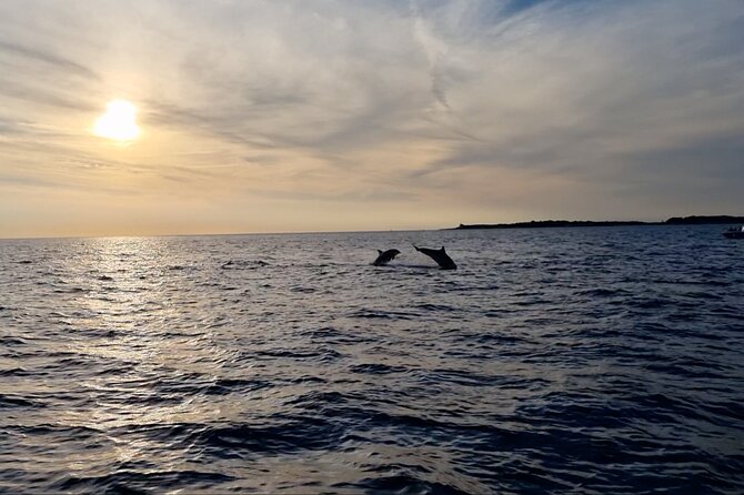 Beautiful Sunset and Dolphin Watching - What’s included (and what to bring) for a smoother ride