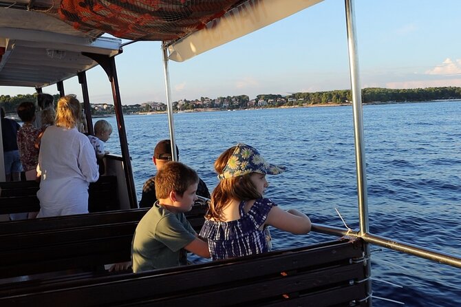 Beautiful Sunset and Dolphin Watching - Who should book this dolphin sunset cruise