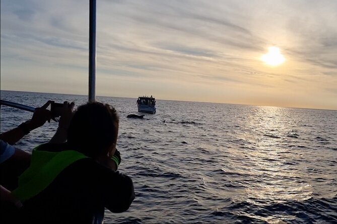 Beautiful Sunset and Dolphin Watching - Quick reality check: the main drawback