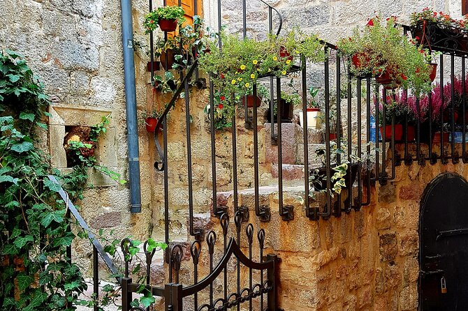 Best of Montenegro and Kotor private tour - What You’ll Actually Do During the Day (Time Breakdown That Helps You Plan)