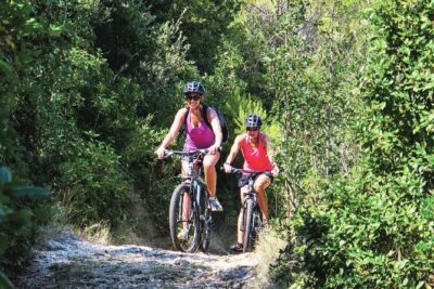 Bike & Wine Korčula Adventure - Half Day Guided Bike Tour - Mountain bike, helmet, and the real pace of a “half day”
