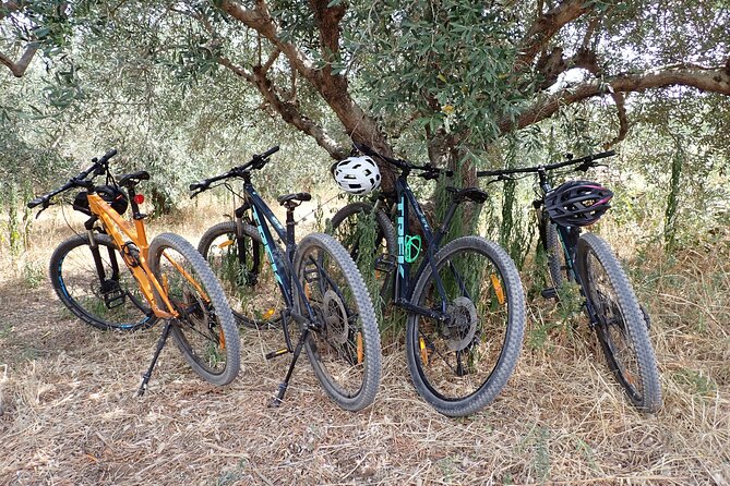 Bike & Wine Korčula Adventure - Half Day Guided Bike Tour - Price of $116.54: what you’re paying for (and what you aren’t)