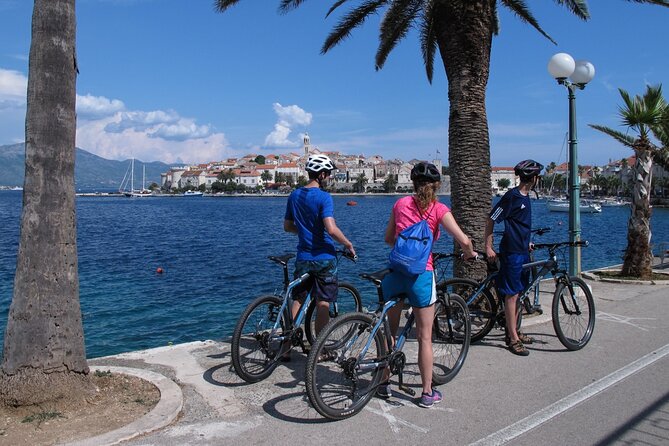 Bike & Wine Korčula Adventure - Half Day Guided Bike Tour - Who should book this bike and wine adventure
