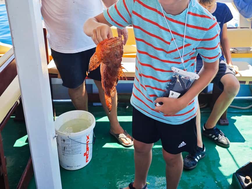 Biograd: Authentic Family friendly Fishing tour in Croatia. - A wooden boat day in Biograd’s sea country