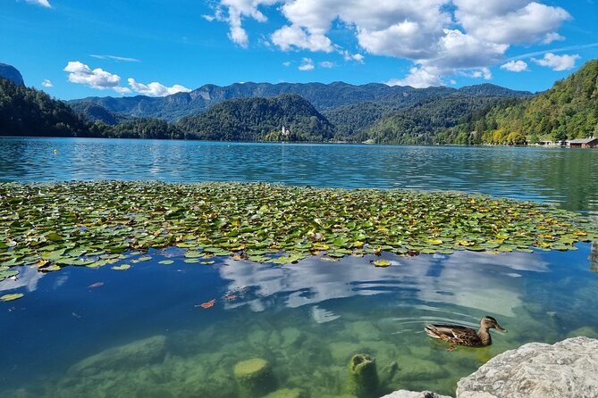 Bled Lake and Ljubljana Extra Small Group Tour from Zagreb - Price and value: What you pay for, and what costs extra