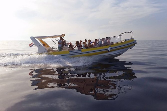 Blue Cave | 5-Hour Afternoon Sea Safari - Why the 2:30pm Blue Cave Safari Beats the Morning Rush