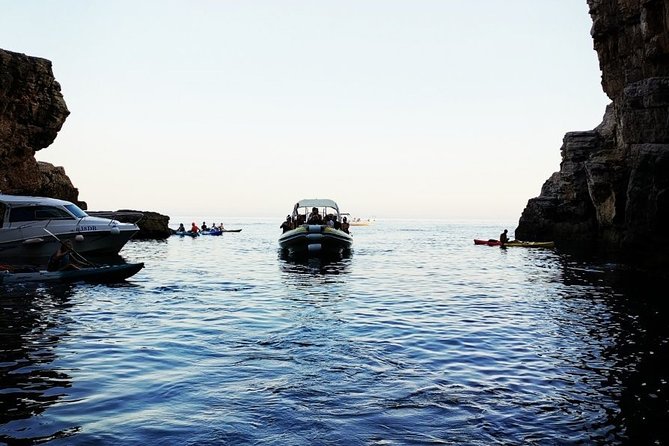 Blue Cave | 5-Hour Afternoon Sea Safari - Value for $84.69: What’s Really Included