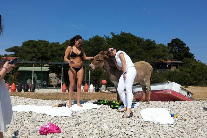 Blue Cave, Hvar and Five islands - Small-Group Tour From Split - Hvar on the Calendar: More Than Just a Pretty Harbor