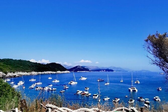Blue & Green Cave Experience: Drinks, Snorkeling & Šunj Beach - The Big Idea: Two Islands, One Fast, Fun Day