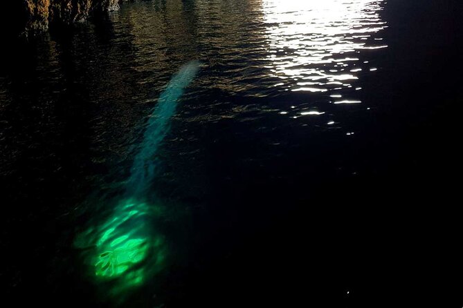 Blue & Green Cave Vis Island and Pakleni Islands Private Day Trip from Hvar - Blue Cave on Biševo: Tickets, Shuttle Boats, and Perfect Timing