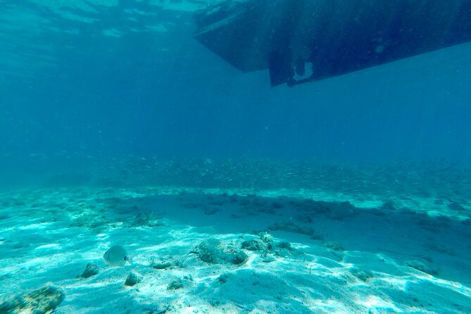 Blue Lagoon & 3 Islands Private Boat Tour - Captains make the day: Roko, Josip, Ante, Mile, Ivan, and more