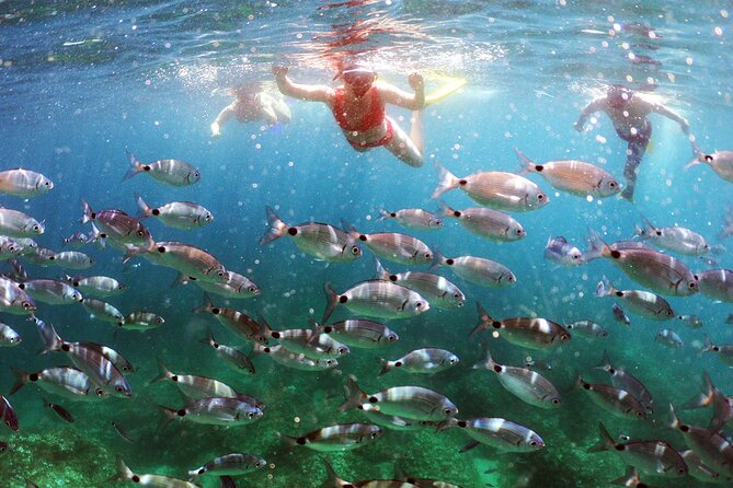 BOAT & KAYAK! Sea Adventure - Snorkeling & Cliff Jumps - Key highlights at a glance