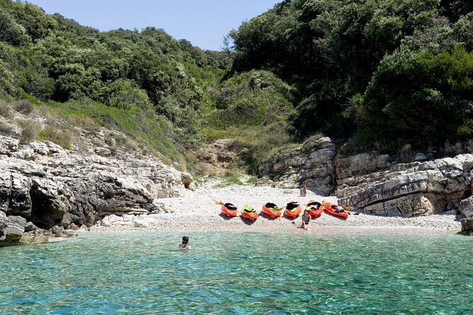 BOAT & KAYAK! Sea Adventure - Snorkeling & Cliff Jumps - What this tour feels like for different travelers
