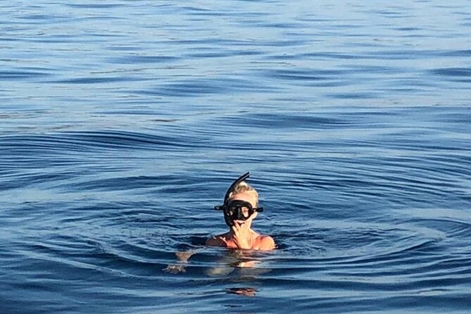 Boat Tour around Zadar Islands with snorkeling during half day excursion - The skipper is the difference-maker