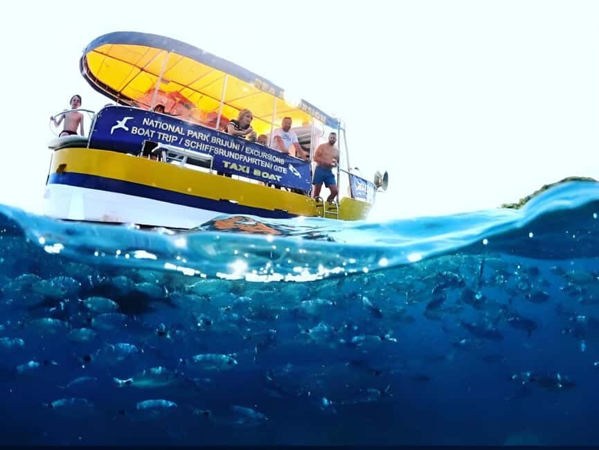 Boat Trip – Coastal Tour from Fažana to Pula and snorkelling - Fažana departure to Pula: the sea route and the views that set the tone