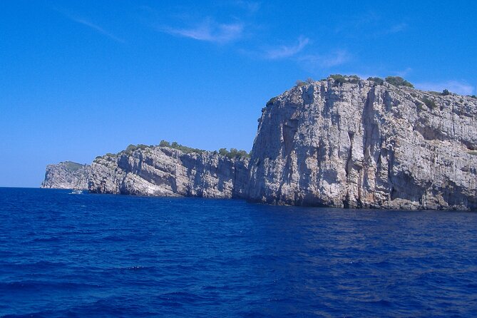 Boat Trip from Zadar to Kornati National Park - Dolphin odds and crew energy: what the day can feel like