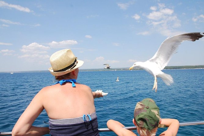 Brijuni National Park Boat Excursion from Pula. With a visit to the island - Price and Value: Is $66.08 Worth It?