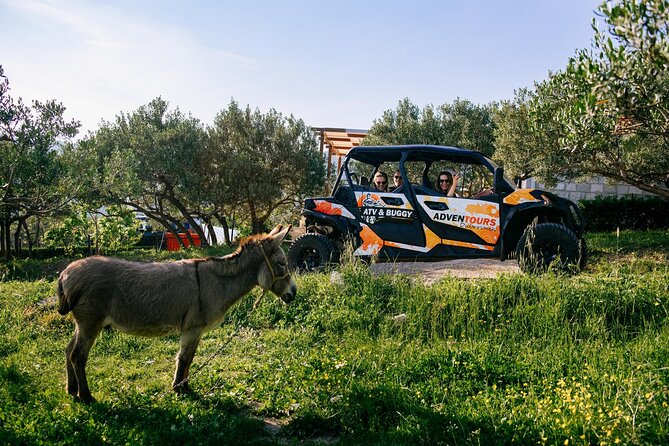 Buggy Dubrovnik Safari Tour (Private) - The 3 km macadam section: choosing how wild you want it