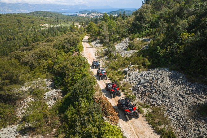 Buggy Safari With Wine Tasting - Key things I think you’ll love