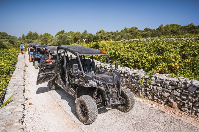 Buggy Safari With Wine Tasting - A Four-Hour Buggy Safari That Links Beaches and Vineyards