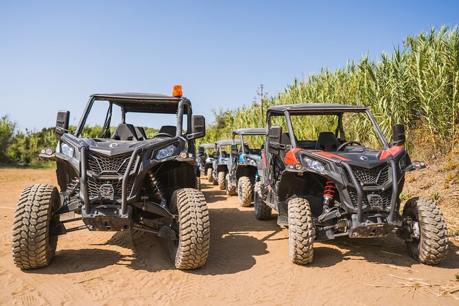 Buggy Safari With Wine Tasting - Vineyard Safari to La’Banya: Greek Grape Country and a Second Beach