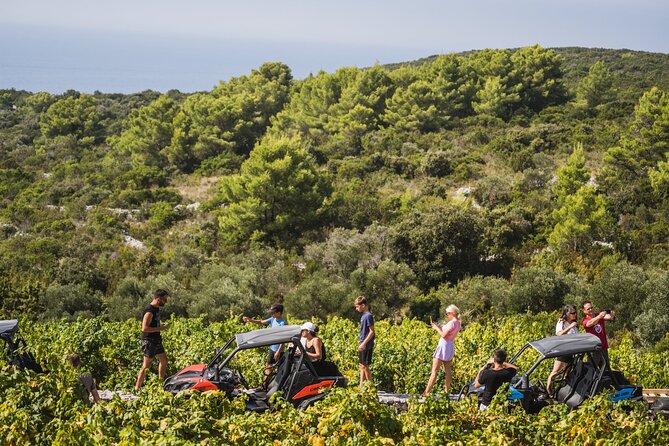 Buggy Safari With Wine Tasting - Where You Start in Korčula (and the pickup rule)